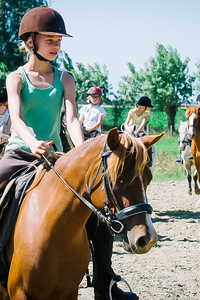 Ponykamp Wimpelhof Krokus