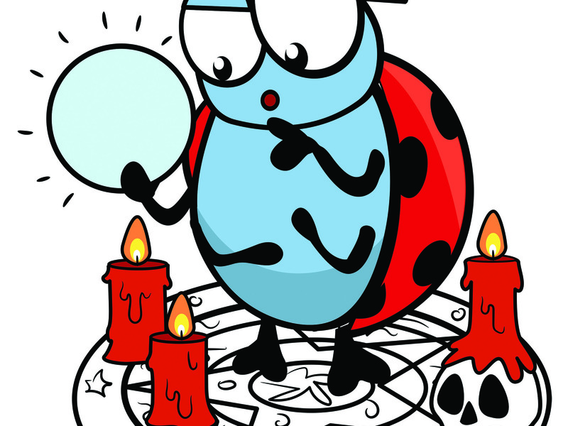 Zwarte magie Tiegem (2-6/11/2026)