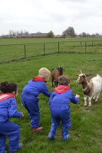 Boerderijkamp voor kleuters