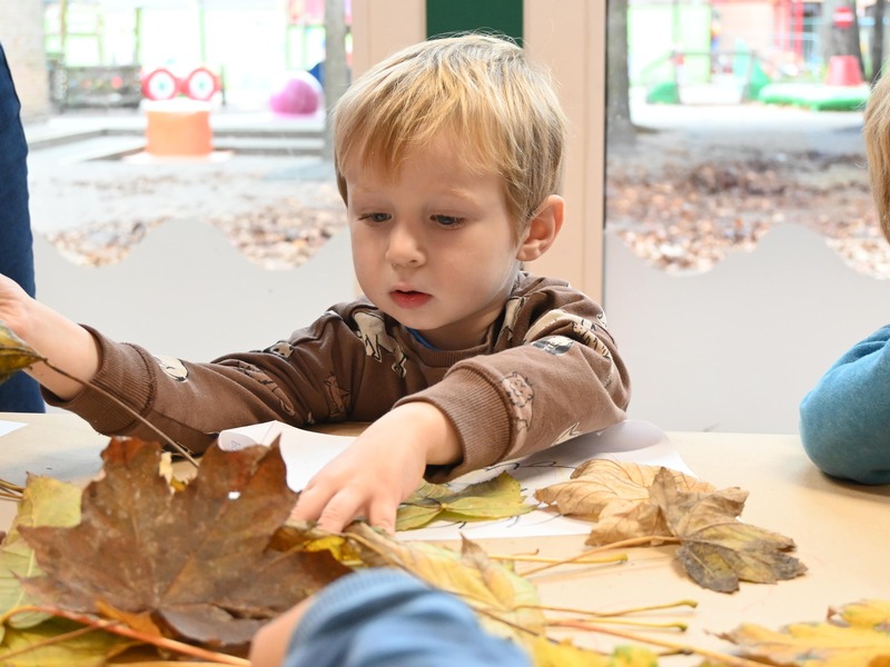 4 seizoenen in een zomer