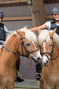 Paardrijden in Belgisch-Limburg