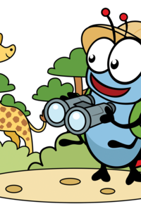 Kriki wild life Stekene (6-10/07/2026)