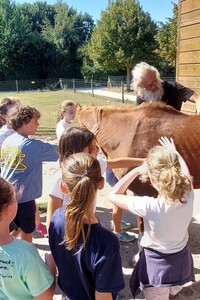 Teamadventure NATUURlijk