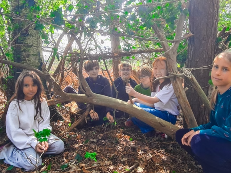 Muziek en Magie in de Natuur