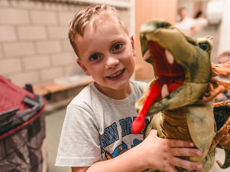 Ridders en prinsessen