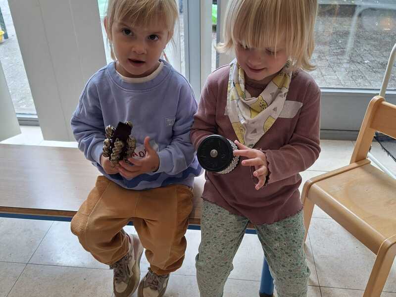 In de natuur - De Wijze Eik (Casierlaan) - Mariakerke
