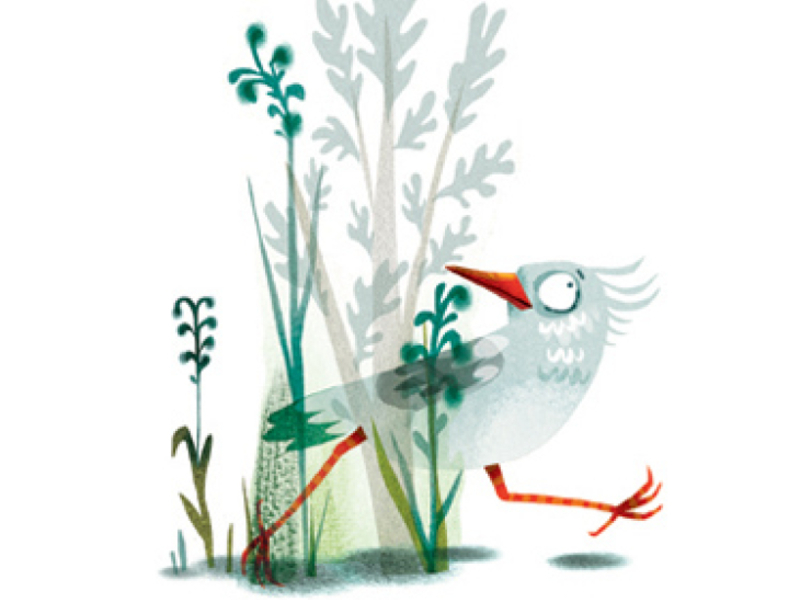 De geluksvogels