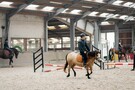 Paardrijden vlakbij Gent