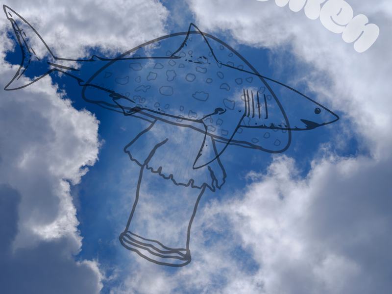 Danskamp In De Wolken