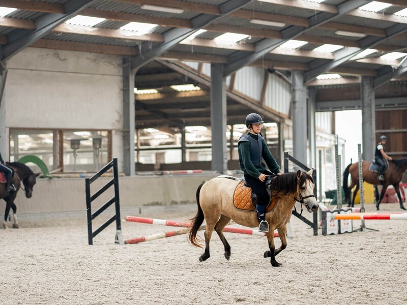 Paardrijden vlakbij Gent