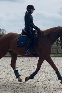 Paardrijden in Wingene