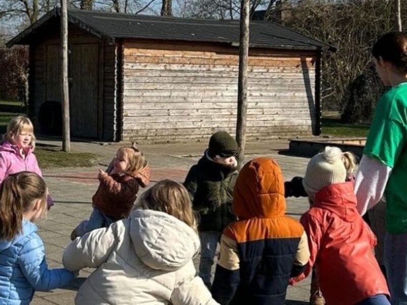 Spring & swing!