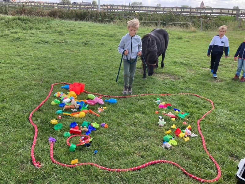 Paard en creatief plezier