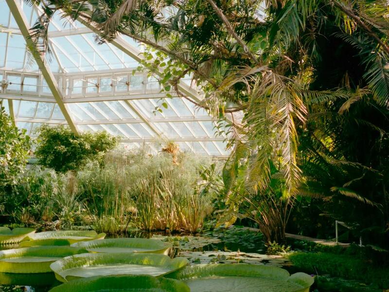 VOLT: Plantentuin Gent
