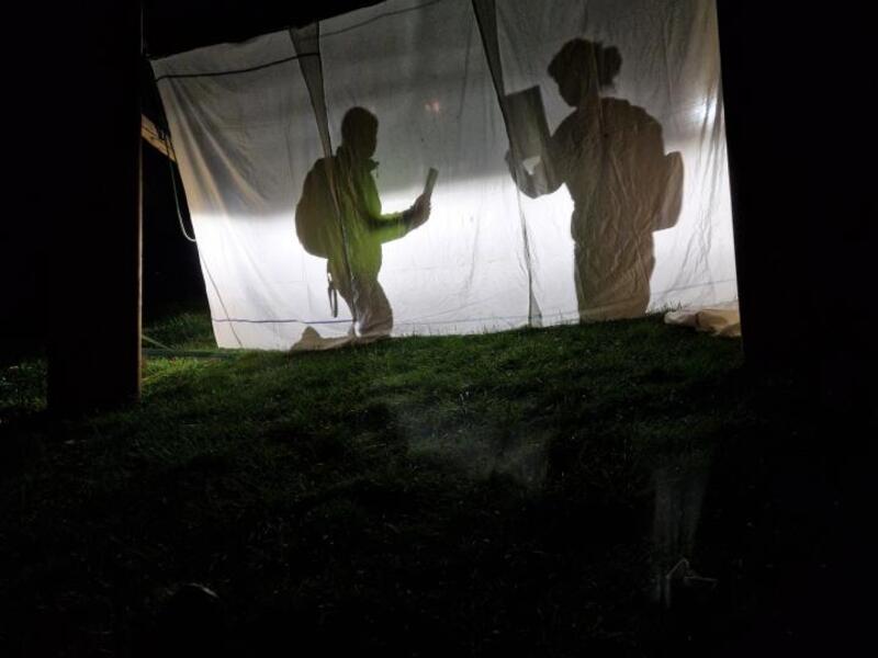 ANIMATOR CURSUS - Avonturenmakers