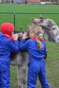 Boerderijkamp voor kinderen met ASS