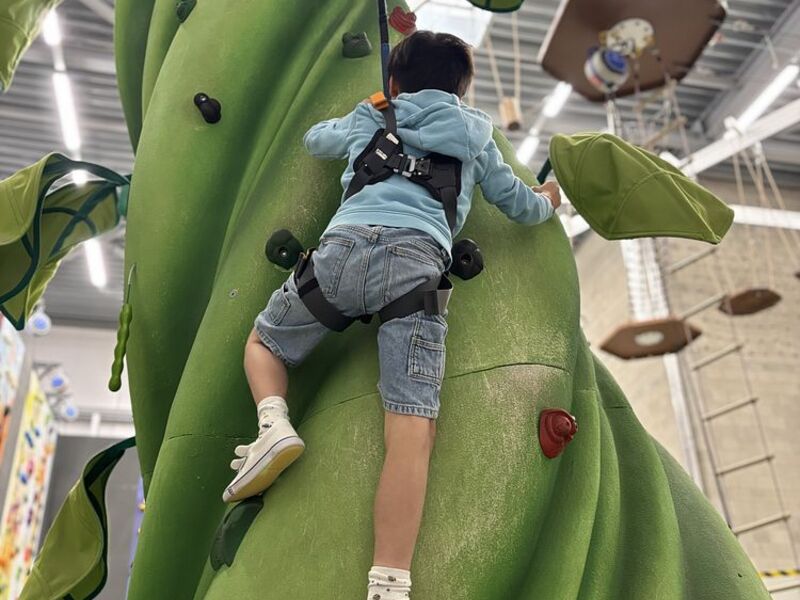 Klim- en avontuurstage