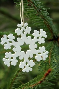 Winter wonder S-G-R Kerst - 2025