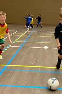 Dribbelkoning Zedelgem (indoor)