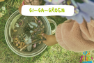Gi Ga Groen 🌿
