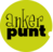 Ankerpunt vzw