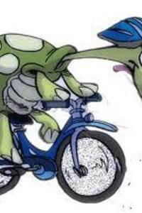 Roll'n en boll'n op wielen