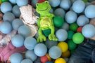 Rocco en de verdwenen kleuren