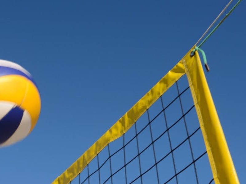 Volleybal Greenyard Maaseik