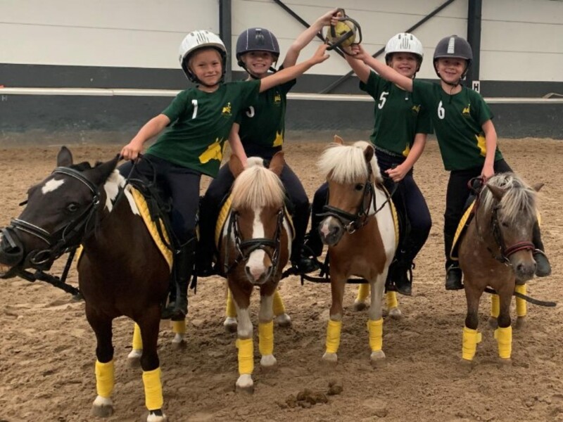 Paardrijden in Buggenhout