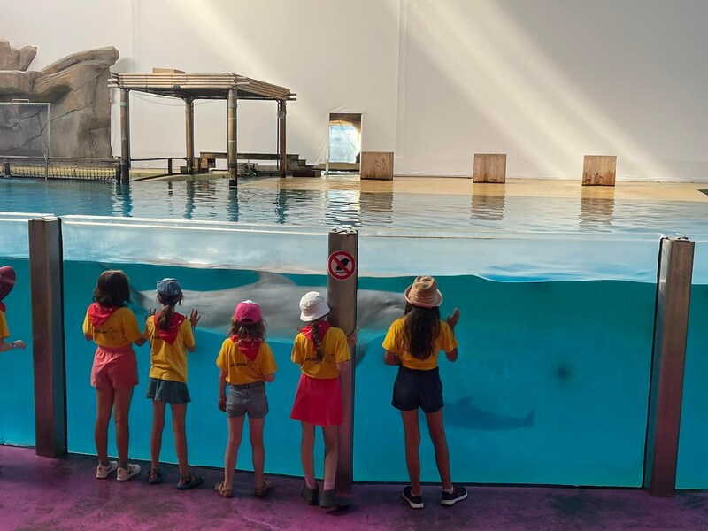 Ontmoeting bij de Dolfijnen