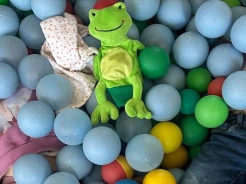 Rocco en de verdwenen kleuren