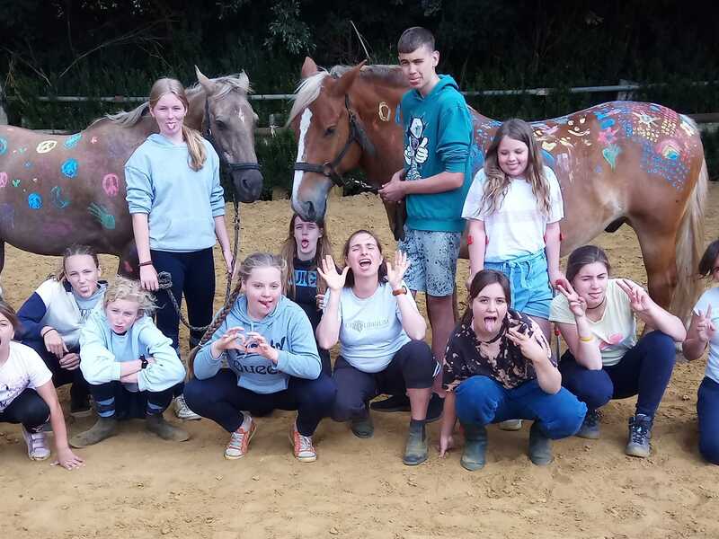 Groeikamp op de paardenboerderij
