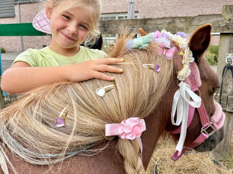 Alpaca- en ponythemakamp pasen