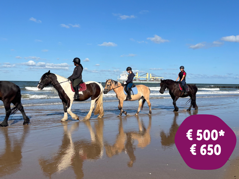 paardrijden NL 23.08 - 29.08