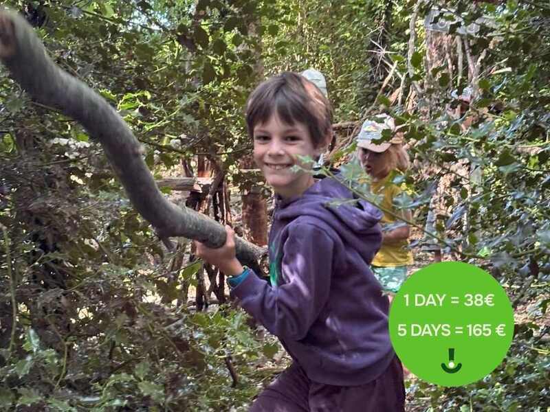 Island Adventures (In English)