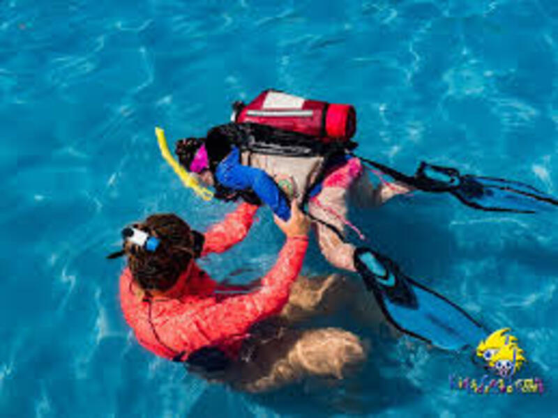 Grote Onderwaterwereld