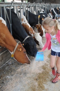 Boerderijkamp - Externaat