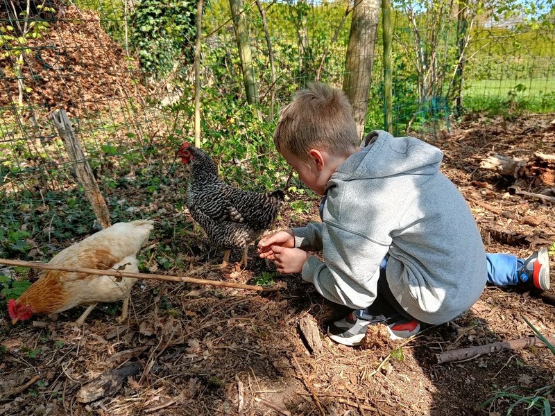 Flovira zomerkamp, week 1 - de hele dag je flow volgen en helemaal jezelf zijn
