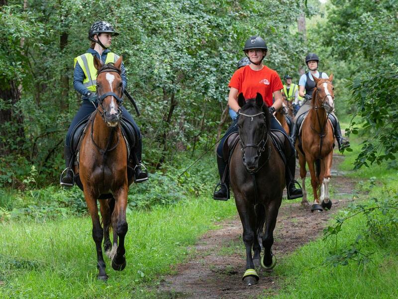 Sportkamp: paardrijden trekking Grote Brogel Z5