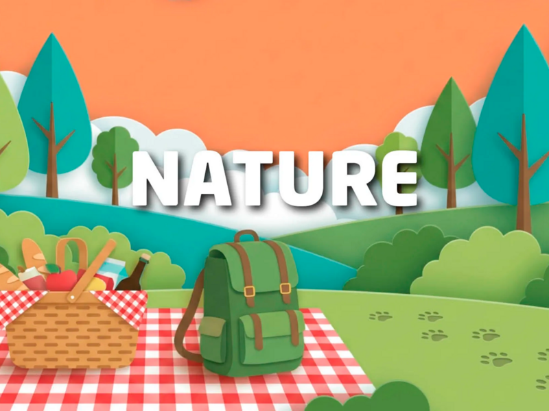 Créativité naturelle
