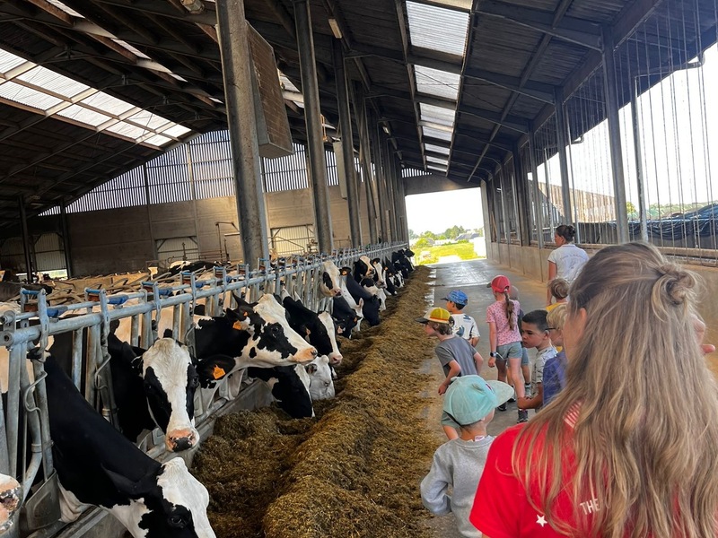 Boerderijkamp - Externaat