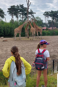 Safari-Rangervakantie @ Beekse Bergen