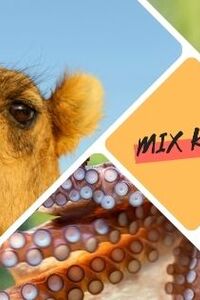 Dieren met Superkrachten