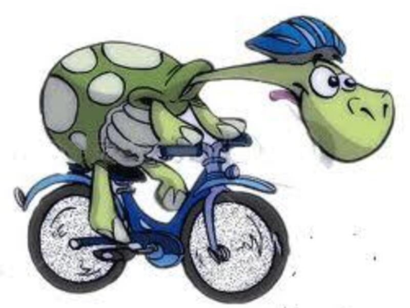 Roll'n en boll'n op wielen