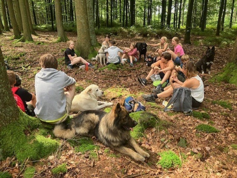 Hondenkamp - The Wanyi way