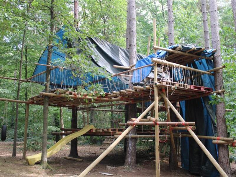 Treehouse Tribe