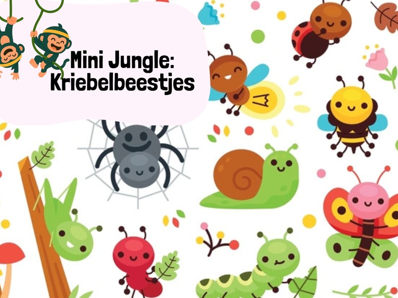 Mini Jungle: kriebelbeestjes