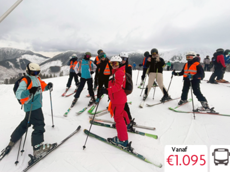 Wintervibes voor gevorderden