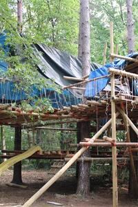 Treehouse Tribe