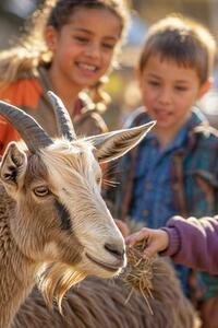 Beroepen op de boerderij